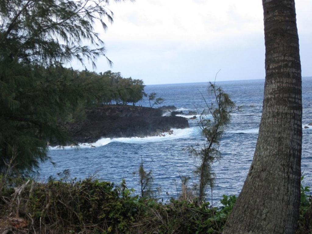 Coconut Palms Vacation Rental Near Lava Fields And Beaches Kehena Eksteriør bilde