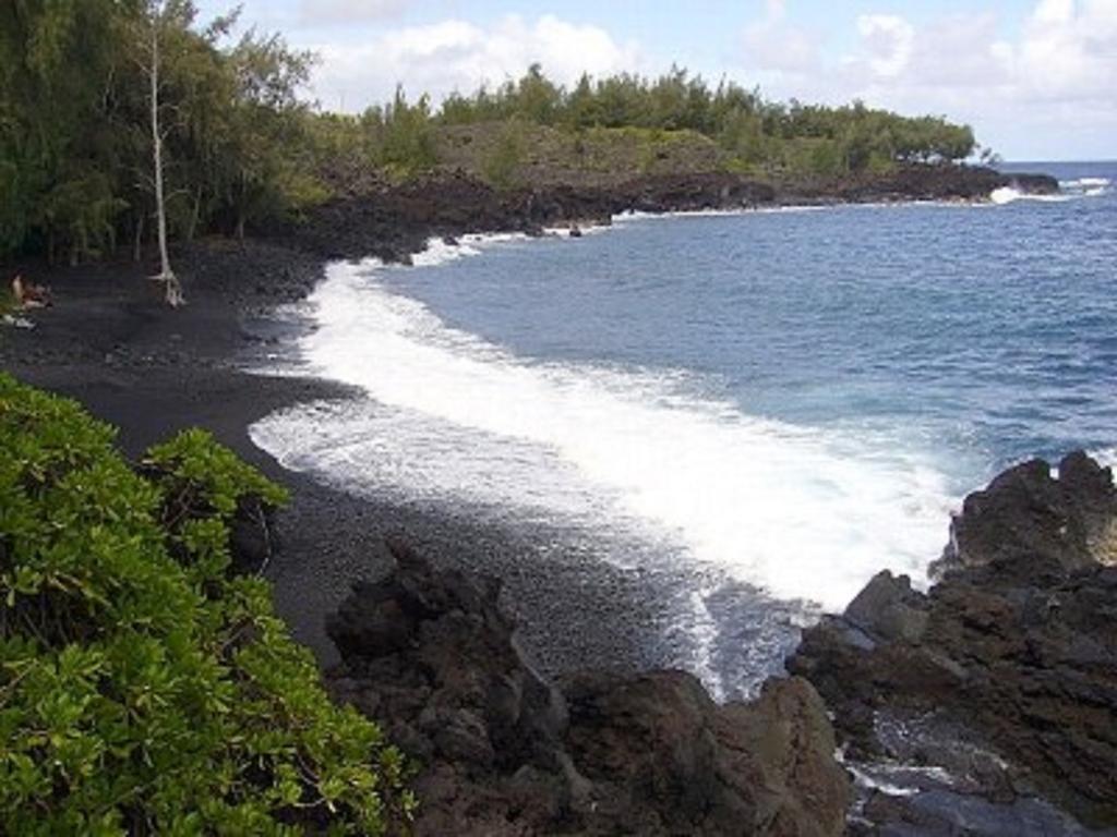 Coconut Palms Vacation Rental Near Lava Fields And Beaches Kehena Eksteriør bilde