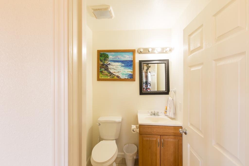 Coconut Palms Vacation Rental Near Lava Fields And Beaches Kehena Eksteriør bilde