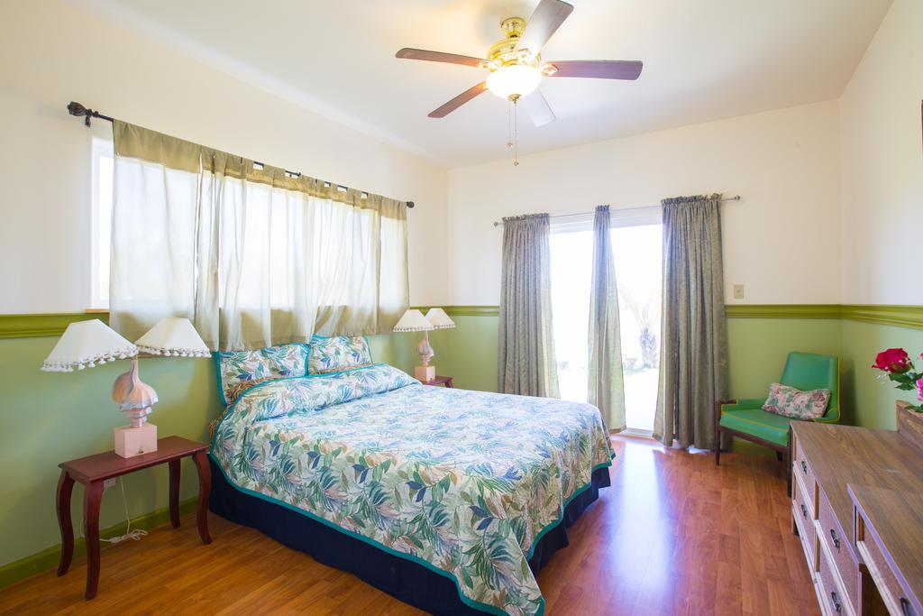Coconut Palms Vacation Rental Near Lava Fields And Beaches Kehena Eksteriør bilde