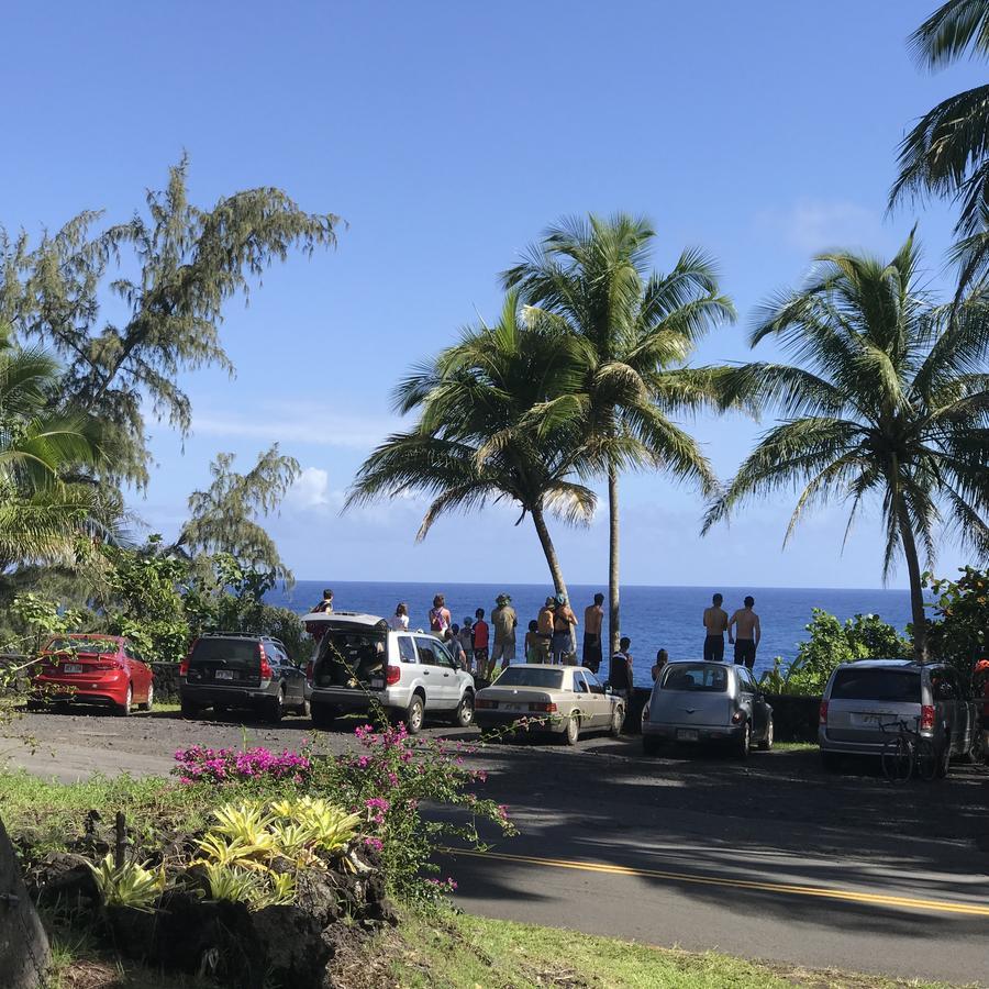 Coconut Palms Vacation Rental Near Lava Fields And Beaches Kehena Eksteriør bilde