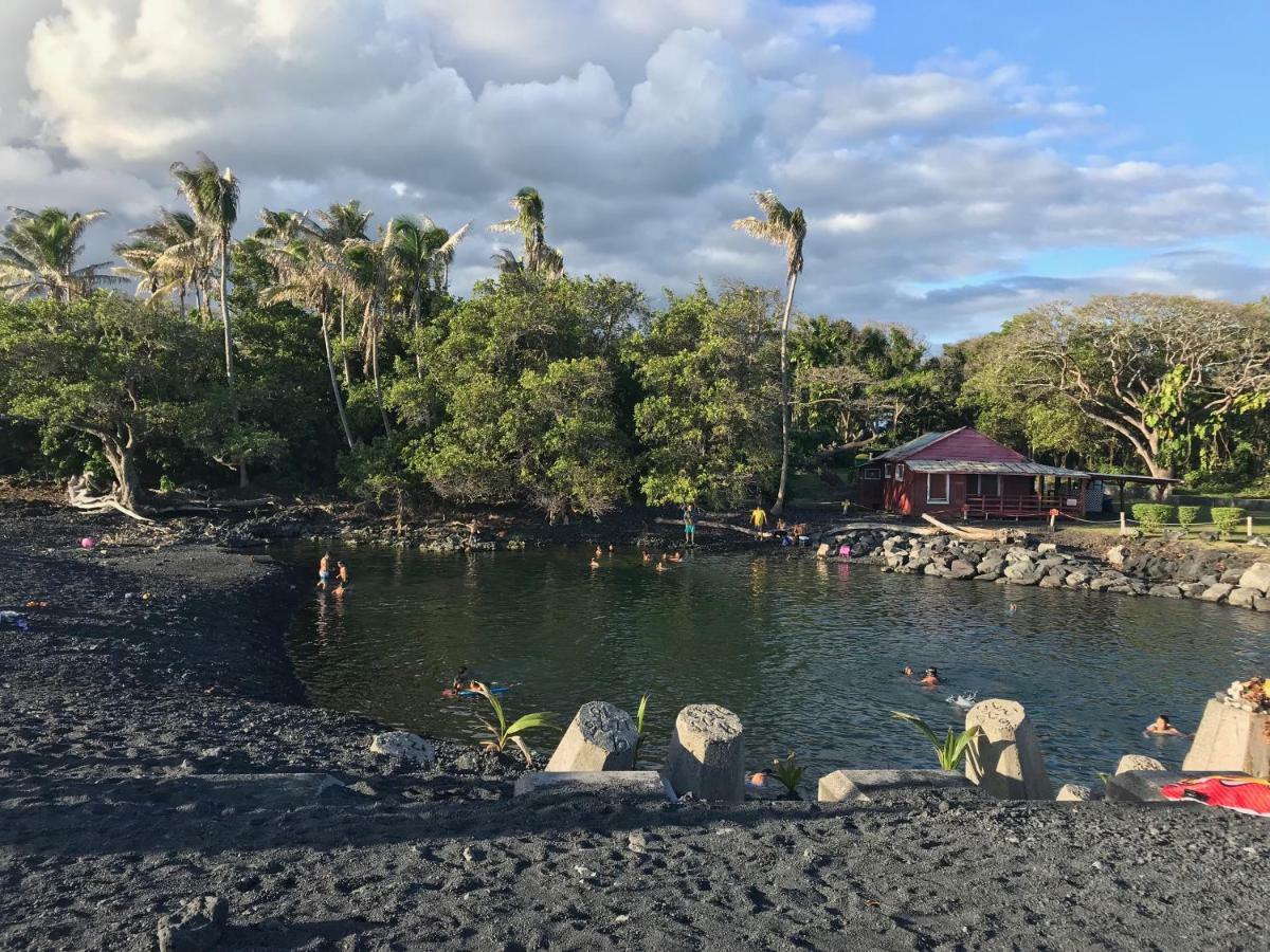Coconut Palms Vacation Rental Near Lava Fields And Beaches Kehena Eksteriør bilde